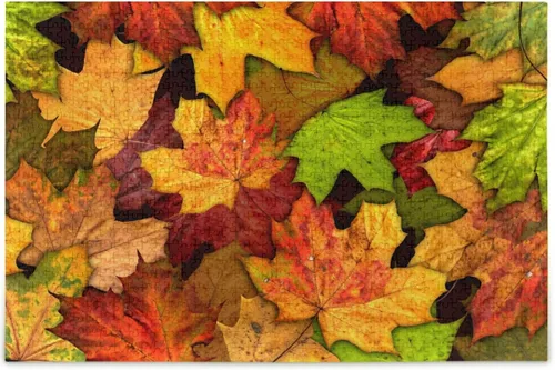 Vista 26 de Rompecabezas de pug colorido divertido perro animal 500 piezas rompecabezas para adultos