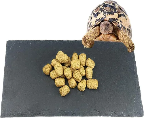 Tfwadmx Plataforma para tomar el sol de reptiles, plato de alimentación de tortuga, cuenco de comida de reptiles de roca natural, decoración de