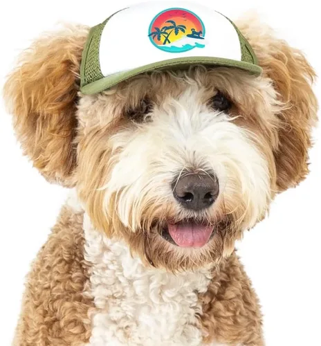 Vista 19 de Sunset Collection, sombreros de camionero de PupLid para perros (XXS) Protección solar elegante de alta calidad para el perro moderno, ajustable