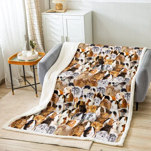 Vista 54 de Feelyou Manta con patrón de sushi de forro polar de estilo japonés para sofá, sofá de viaje, para adolescentes, manta sherpa con temática