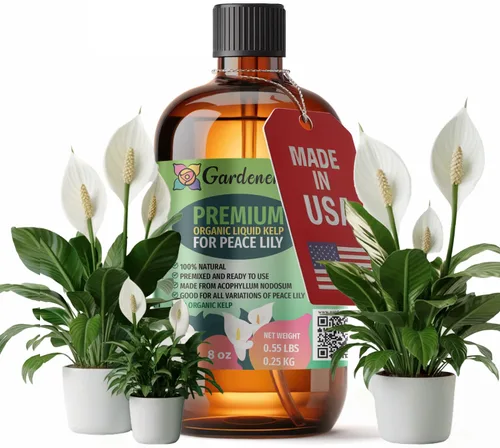 Vista 61 de GARDENERA Superalimento orgánico prémium de algas marinas y algas marinas para plantas AGLAONEMA, 8 onzas, concentrado de fertilizante líquido
