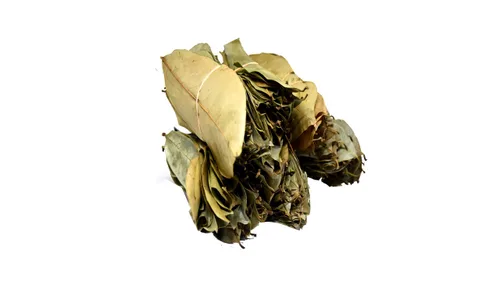 Vista 3 de Lakpura® Hojas secas de guanábana silvestre (Guanabana, Graviola, Guyabano) (7.05 oz)