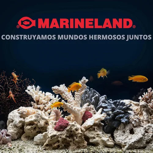 Vista 18 de Contenedor Marineland Magniflow.