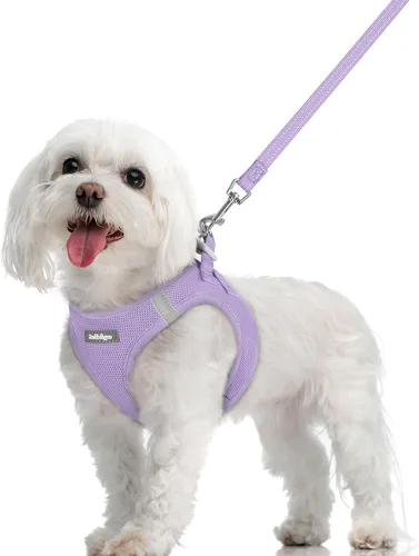 Vista 30 de rabbitgoo Juego de arnés para perro, tamaño pequeño y correa, chaleco ligero suave para cachorro, arnés de malla transpirable para mascotas, Negro