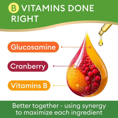 Vista 4 de Multivitamínico líquido 15 en 1 para perros y gatos, glucosamina para perros, arándano, complejo de vitamina B, ingredientes equilibrados