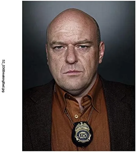 Disparo a la cabeza de Dean Norris (Breaking Bad Temporada 2 - Hank Schrader) - 8 pulgadas x10 pulgadas FOTOGRAFÍA Performer & Actor Color