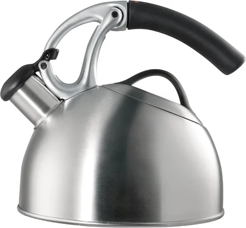 OXO Good Grips - Pava para té, acero inoxidable pulido, Cepillado, Cepillado inoxidable