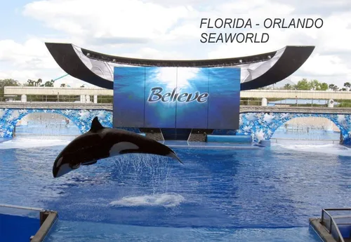 Vista 4 de Imanes para refrigerador de Florida USA United States (1 pieza, estilo: Hard Rock Hotel #FL6)