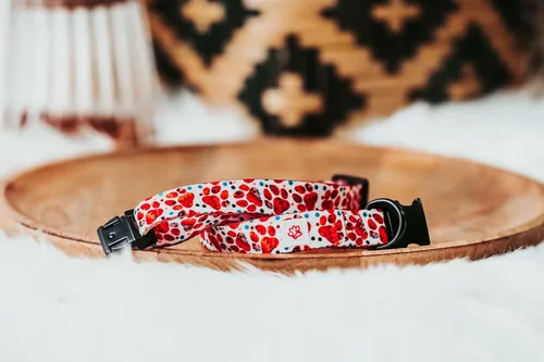 Vista 3 de Western Paw Print Collar (Small)