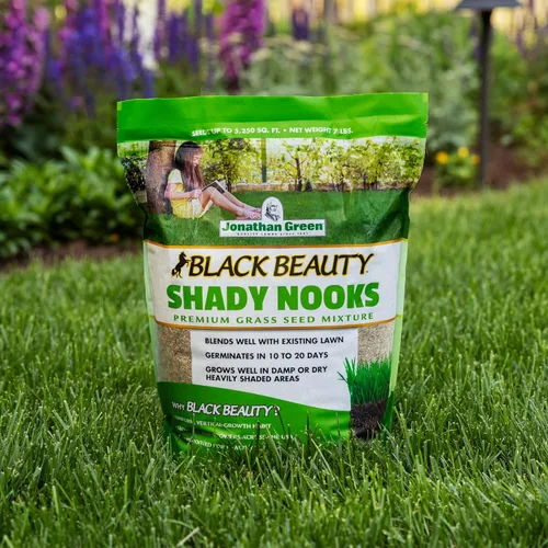 Vista 4 de Jonathan. Semillas de pasto Shady Nooks.