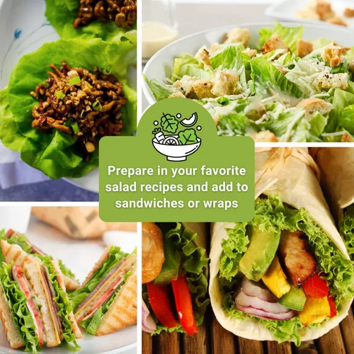 Vista 5 de Sow Right Seeds - Gran colección de semillas de lechuga para plantar - Buttercrunch, Jericho, Iceberg, Ensaladera, Pequeña Gema, Simpson de semillas