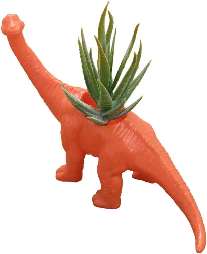 Vista 13 de Aislor Maceta suculenta con forma de dinosaurio con bandeja de drenaje, florero multiusos para bonsái, maceta creativa de cactus con orificio