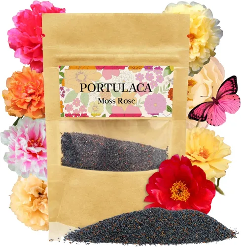 Portulaca Grandiflora & Moss Rose Seeds | Más de 10,000 semillas anuales de reliquia sin OMG para plantar rosas musgo, jardines de rocas y rosas
