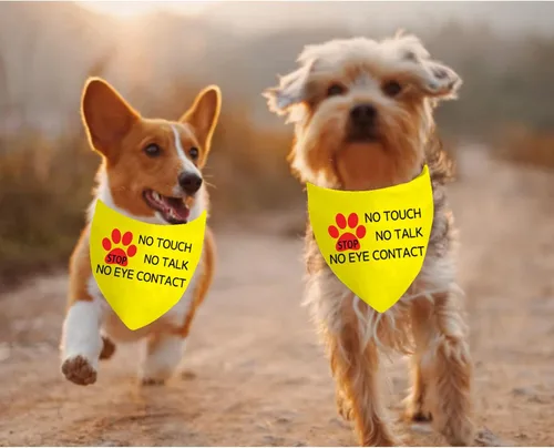 Vista 6 de JXGZSO 1 bandana para perro Stop Dot Not Pet/Stop No Touch No Talk/Stop Do Not Distract Dog Bandana (sin contacto con los ojos D)