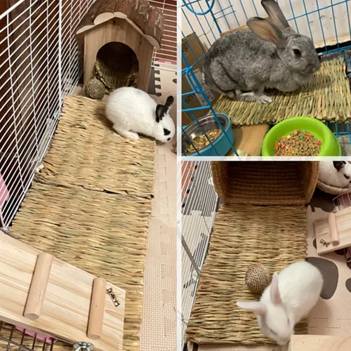 Vista 7 de 2 alfombrillas de hierba de conejo, paja natural tejida en heno para cama de conejo, ropa de cama hecha a mano para mascotas, anidación