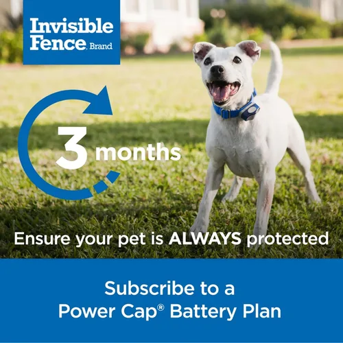 Vista 5 de Batería Invisible Fence Power Cap - Batería de reemplazo original de valla eléctrica IFB para collares de perros - De larga duración - 1 paquete