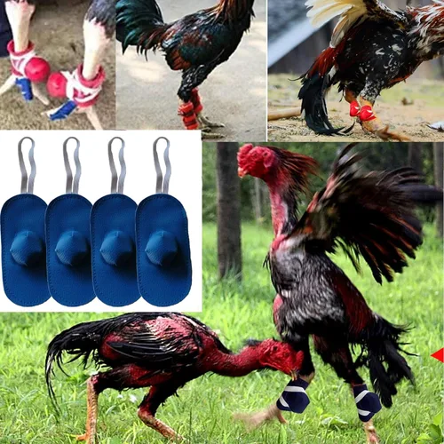 Vista 3 de Arlinal Zapatos de pollo Gamefowl Gallo, suministros de gallo, botas de pollo Gamefowl Suministros de lucha Etiquetas de pollo para protección