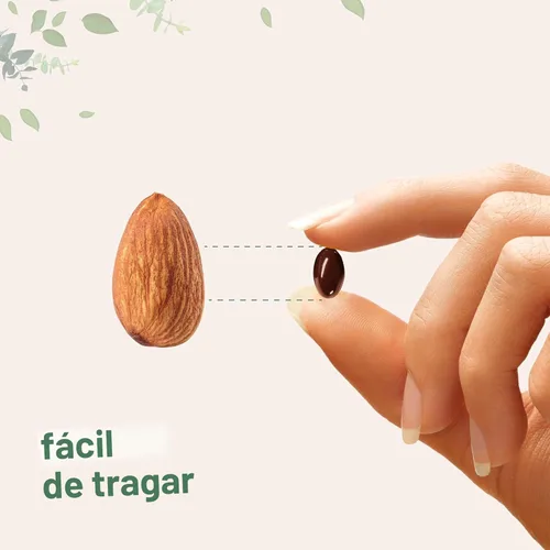 Vista 6 de Micro Ingredients Raíz de remolacha 360 cápsulas blandas con aceite MCT, altamente biodisponible, fuerza máxima, suplementos de súper remolacha