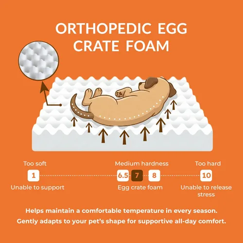 Vista 5 de Muihood Marco de cama elevado de madera para perro y colchón de espuma para jaula de huevos, lujoso adecuado para mascotas de hasta 80 libras