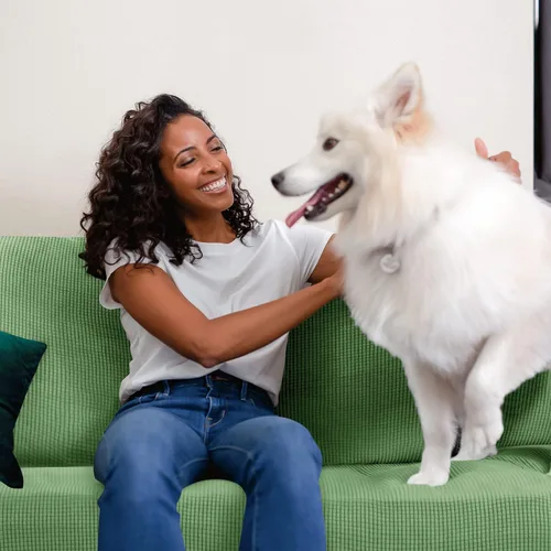 Vista 308 de CHUN YI Fundas para sofá de 7 piezas, lavables, fundas elásticas para sofá de 3 cojines con respaldo y fundas de cojín separados, protector