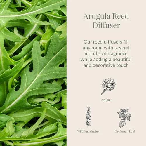 Vista 2 de Archipelago Botanicals Difusor de varillas de rúcula Incluye aceite de fragancia, tapa de madera decorativa y 10 varillas difusoras Perfecto
