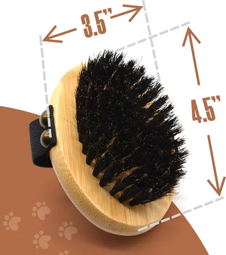 Vista 6 de The Buddy System Cepillo Cercano para Mascotas, Cepillo de Palma Ovalado de Tacto Suave - Masaje de Bambú Portátil con Cerdas Suaves de Jabalí