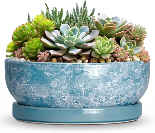 Vista 18 de Succulent Pots, 6 Inch Ceramic Bonsai Pots with Saucer, Blue