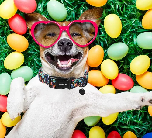 Vista 58 de DOGWONG Collar de algodón y cáñamo para perros, collar rosado resistente ajustable de tela natural suave para mascotas, lindo collar de boda