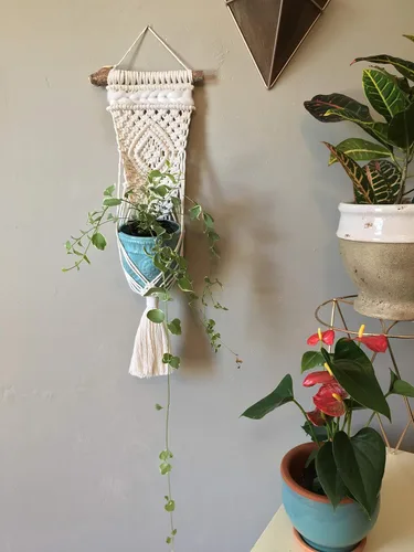 Vista 4 de WILD COTTON Fiber Arts Macrame Plant Hanger Indoor Wall Hanging Planter Basket Long Flower Pot Holder Boho Home Decor, 30 Inch