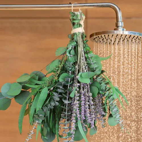 Vista 7 de 100 paquetes de flores secas de eucalipto y lavanda para ducha, 17 pulgadas, tallo de hojas de eucalipto de dólar plateado naturales, plantas