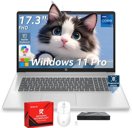 Vista 10 de HP Laptop empresarial con pantalla táctil 17, pantalla HD antirreflejo de 17.3 pulgadas, Windows 11 Pro, computadora Copilot, AMD Ryzen 5 7430U
