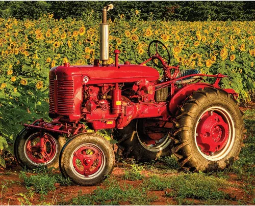 Springbok 's - Rompecabezas de 1000 piezas fabricado en Estados Unidos