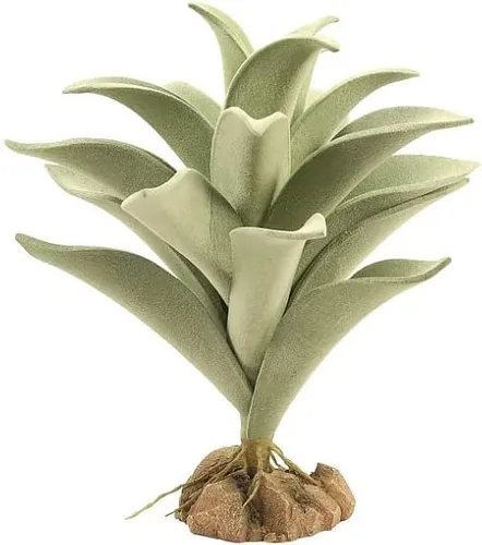 Zoo Med (T6016718) Gordolobo plateado