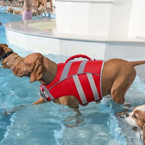 Vista 6 de Kuoser Chaleco salvavidas para perros con rayas reflectantes, chaleco ajustable de alta visibilidad, salvavidas Ripstop, preservador de mascotas