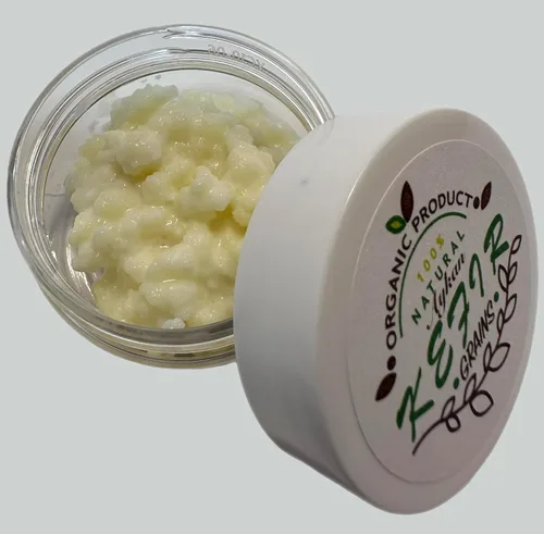 Vista 2 de Granos de kéfir de leche, cultura de kéfir vivo, Bulgaros de Leche, el kit de inicio viene con todo para comenzar