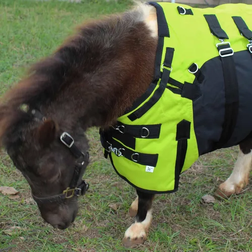 Vista 3 de CHALLENGER 46" 1200D Miniatura Weanling Donkey Pony Horse Foal Manta de invierno 51975LG