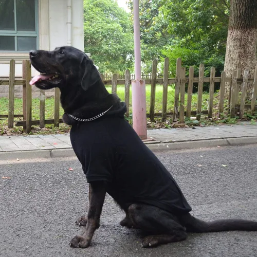 Vista 8 de Lovelonglong Sudadera básica con capucha para perros, 100% algodón, se adapta a perros pequeños, medianos y grandes, color negro, XS