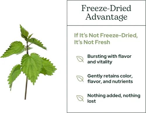 Vista 5 de Eclectic Institute Polvo de alimentos enteros de hoja de ortiga liofilizada fresca cruda 2.1 oz (60 g)