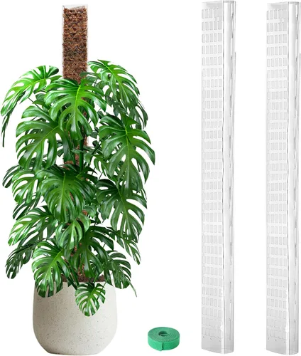 Vista 19 de EOX 2 postes de musgo de plástico de 24 pulgadas para Monstera, postes grandes en forma de D para plantas trepadoras, funcionan con musgo esfagnum