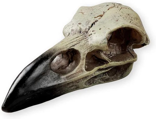 Calavera de cuervo de Halloween, estatua gótica de cuervo de cráneo de animal, decoración de hueso falso, collar de cuervo para la cabeza, dije de