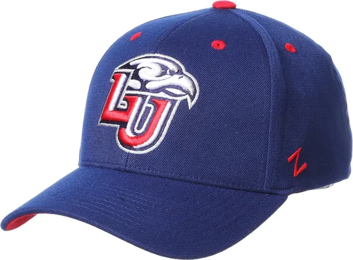 Vista 75 de ZHATS - Sombrero ajustado elástico para hombre de la NCAA, color del