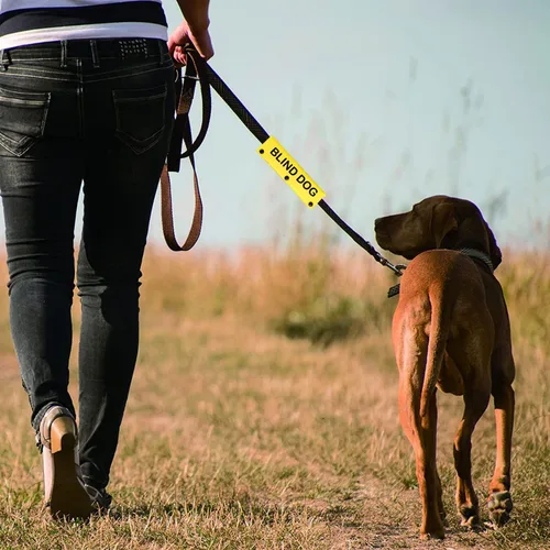 Vista 7 de Correa para perro con discapacidad visual, correa para perro ciego, envoltura de alerta colgante, parche de identificación para mascotas, regalo