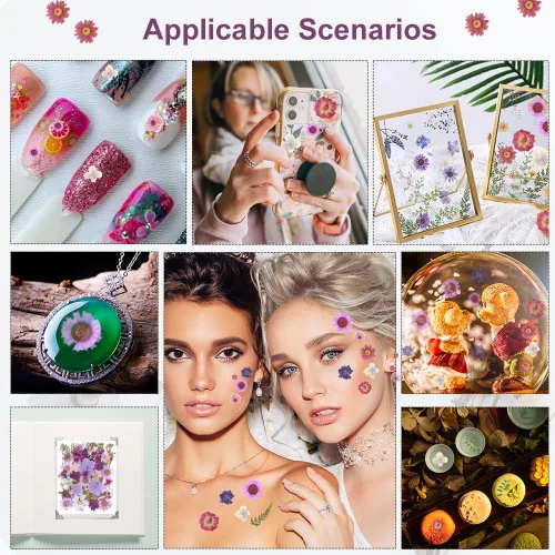 Vista 5 de 100 piezas de flores secas prensadas naturales para resina, flores secas para accesorios de resina, flores secas para scrapbooking, manualidades