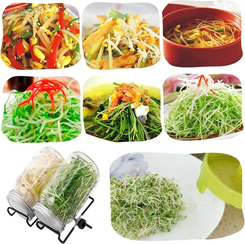 Vista 8 de Lulonpon Juego de 2 tarros para cultivar brotes, tarros de boca ancha de un cuarto de galón con tapas de germinación de pantalla de acero