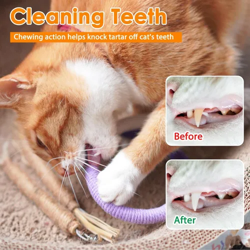 Vista 3 de Tocirelo Juguete de cuerda para masticar para gatos - Paquete de 6 juguetes para masticar para gatos para limpiar los dientes, juguetes interactivos