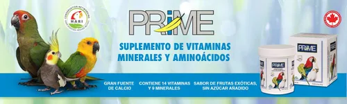 Vista 2 de Hari Hagen Prime - Suplemento vitamínico, mineral y aminoácido para pájaros que comen semillas, 1.1 onzas