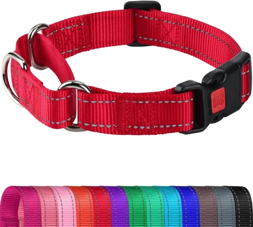 Vista 15 de Joytale Collar Martingale para perros, reflectante resistente para mayor seguridad, hebilla de liberación rápida, collares de nailon ajustables
