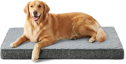 Vista 29 de JOEJOY Cama ortopédica para perros extra grandes