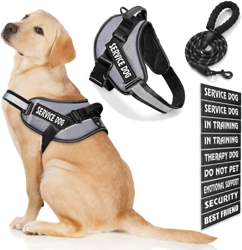 Vista 44 de Chaleco para Perro de Servicio, 9 Parches Arnés para Perro sin Tirones y Correa con Asa, Chaleco para Mascota Fácil de Poner y Quitar con Correas