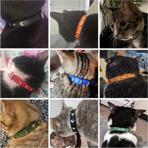 Vista 5 de Collares de cuero DILLYBUD para gatos macho y hembra con campana y cinturón elástico de seguridad, collar ajustable con hebilla de seguridad